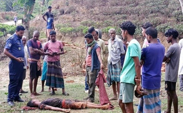কমলগঞ্জে ট্রাক্টর উল্টে ইটচাপায় চা শ্রমিক নিহত, আহত ২