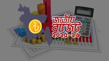 বাজেট বিশ্লেষণ: দেশীয় শিল্পের ওপর প্রভাববাজেট বিশ্লেষণ: দেশীয় শিল্পের ওপর প্রভাব